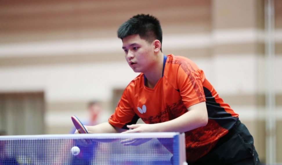 不仅增添了 不仅增添了